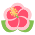 :hibiscus: